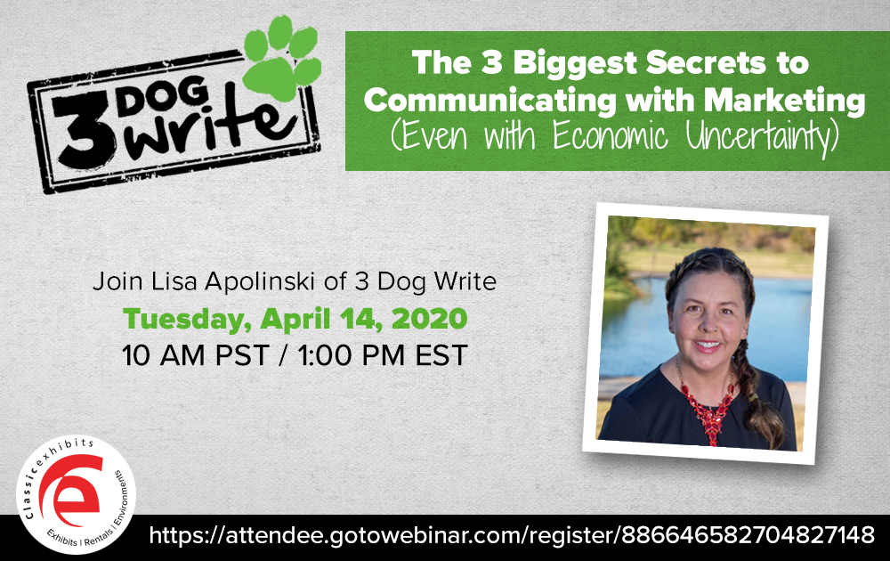 Lisa Apolinski from 3 Dog Write conducts a webinar on communicating with Marketing