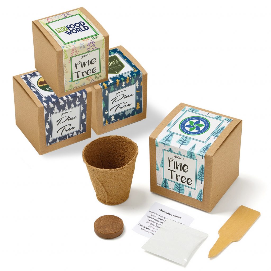 3 Steps To Follow When Pitching Eco-friendly Promotional Products -  Botanical PaperWorks