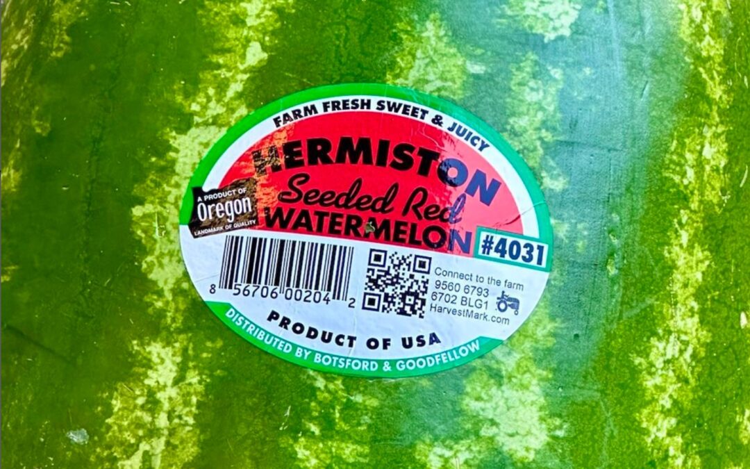 Watermelon Seed Spitting Contest and BBQ Potluck