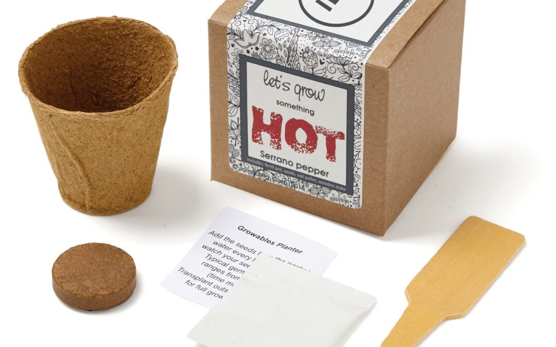 Eco-Friendly Giveaway Ideas for Trade Shows